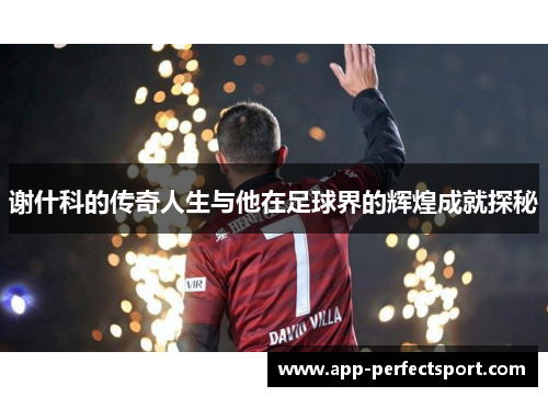 谢什科的传奇人生与他在足球界的辉煌成就探秘